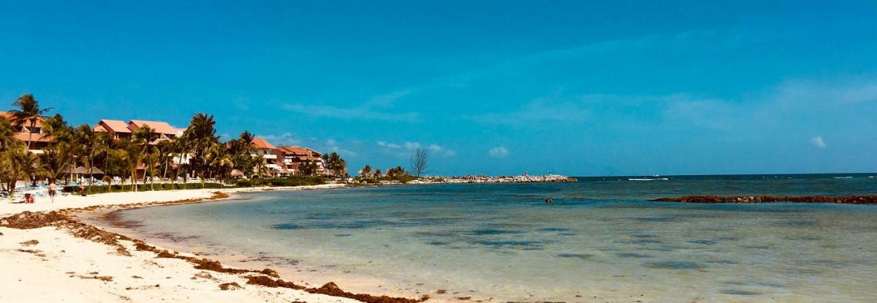 Happy Smile By The Dolphins Daire Puerto Aventuras Dış mekan fotoğraf